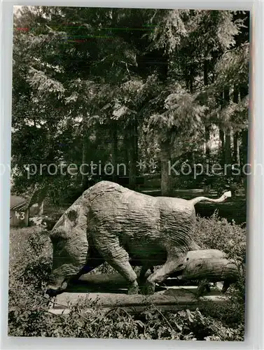 AK / Ansichtskarte Bad Bergzabern Wildschweingruppe im Kurpark Kat. Bad Bergzabern