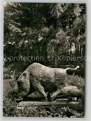 AK / Ansichtskarte Bad Bergzabern Wildschweingruppe im Kurpark Kat. Bad Bergzabern