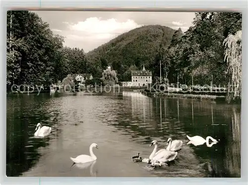 AK / Ansichtskarte Bad Bergzabern Schwanenweiher Kat. Bad Bergzabern