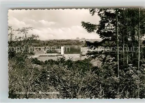 AK / Ansichtskarte Manderscheid Eifel Eifelsanatorium Kat. Manderscheid