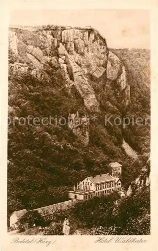 AK / Ansichtskarte Bodetal Harz Hotel Waldkater Kupfertiefdruck Kat. Treseburg