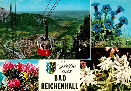 AK / Ansichtskarte Seilbahn Bad Reichenhall Edelweiss Alpenrosen Enzian Kat. Bahnen