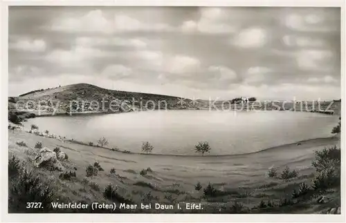 AK / Ansichtskarte Daun Eifel Weinfelder Maar Kat. Daun