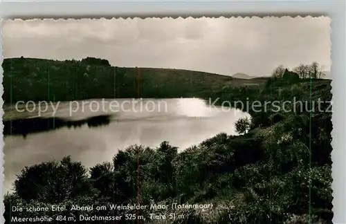 AK / Ansichtskarte Daun Eifel Weinfelder Maar Kat. Daun