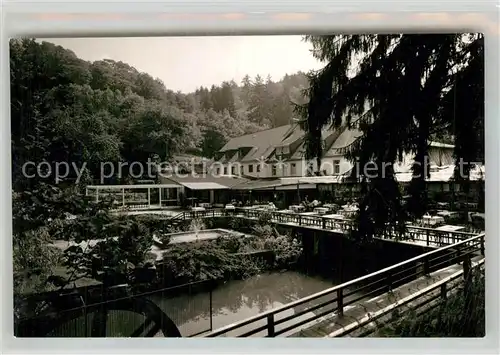 AK / Ansichtskarte Manderscheid Eifel Heidsmuehle Gartenterrasse Kat. Manderscheid