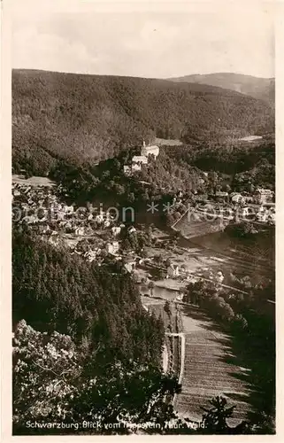 AK / Ansichtskarte Schwarzburg Thueringer Wald Blick vom Trippstein Kat. Schwarzburg