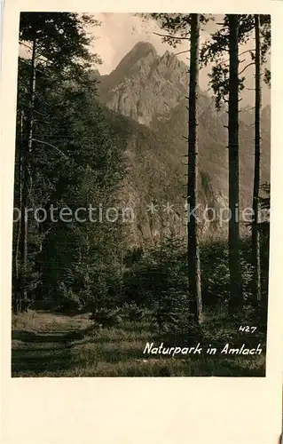 AK / Ansichtskarte Amlach Naturpark Kat. Amlach Lienz