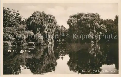 AK / Ansichtskarte Bad Hersfeld Teich im Kurpark Kat. Bad Hersfeld