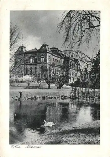 AK / Ansichtskarte Gotha Thueringen Museum Schwanenteich Kat. Gotha