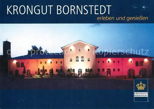 AK / Ansichtskarte Bornstedt Eisleben Korngut Gesamtansicht  Kat. Bornstedt Eisleben