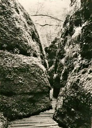 AK / Ansichtskarte Eisenach Thueringen Drachenschlucht Kat. Eisenach