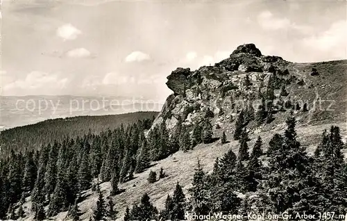 AK / Ansichtskarte Grosser Arber Richard Wagner Kopf Bayerischer Wald Kat. Bayerisch Eisenstein