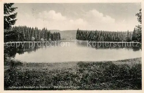 AK / Ansichtskarte Neudorf Harzgerode Birnbaumteich  Kat. Harzgerode