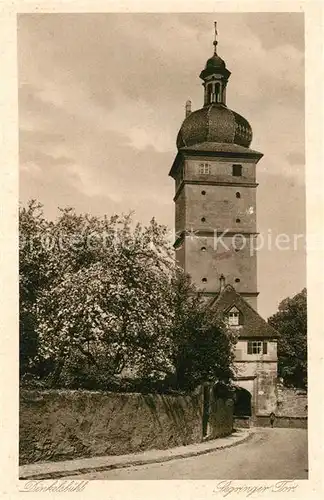 AK / Ansichtskarte Dinkelsbuehl Segringer Tor  Kat. Dinkelsbuehl