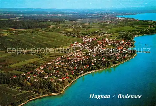 AK / Ansichtskarte Hagnau Bodensee Fliegeraufnahme Kat. Hagnau am Bodensee