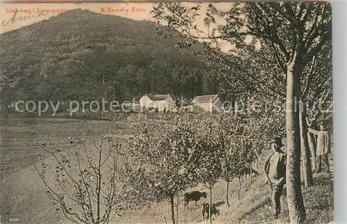 AK / Ansichtskarte Loewenburg Siebengebirge Teilansicht  Kat. Bad Honnef