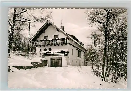 AK / Ansichtskarte Doernholthausen Haus Affenberg Kat. Sundern (Sauerland)