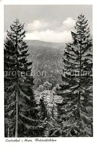 AK / Ansichtskarte Lautenthal Harz Waldschloesschen Kat. Langelsheim