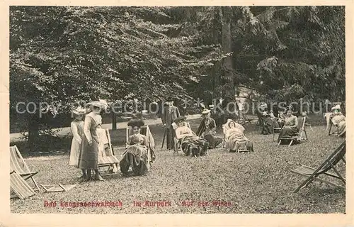 AK / Ansichtskarte Langenschwalbach Kurpark Wiese Kat. Bad Schwalbach