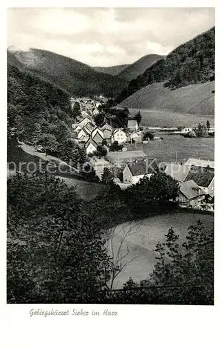 AK / Ansichtskarte Sieber Panorama Kat. Herzberg am Harz