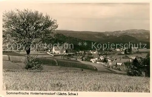 AK / Ansichtskarte Hinterhermsdorf Panorama Kat. Sebnitz