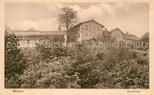 AK / Ansichtskarte Bodetal Harz Rosstrappe Kat. Treseburg