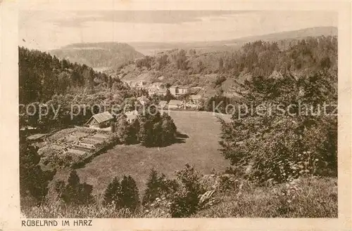 AK / Ansichtskarte Ruebeland Harz Panorama