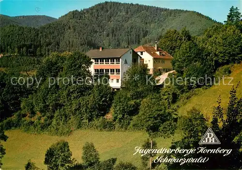 AK / Ansichtskarte Hornberg Schwarzwald Jugendherberge Kat. Hornberg