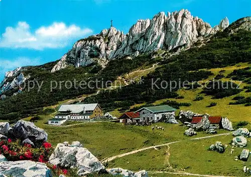 AK / Ansichtskarte Chiemsee Steinlingalm mit Kampenwand Kat. Chiemsee