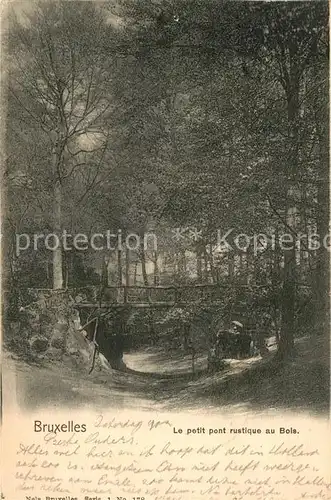 AK / Ansichtskarte Bruessel Bruxelles Le petit pont rustique au Bols Kat. 