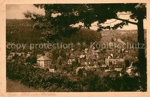 AK / Ansichtskarte Calw Blick von Suedosten Kat. Calw