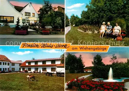 AK / Ansichtskarte Bad Holzhausen Luebbecke Pension Haus Stork Park Bauernhof Springbrunnen Kat. Preussisch Oldendorf