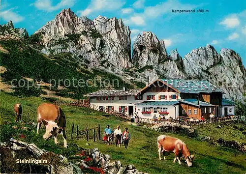 AK / Ansichtskarte Steinling Steinlingalm mit Kampenwand Kuehe Kat. Edelsfeld