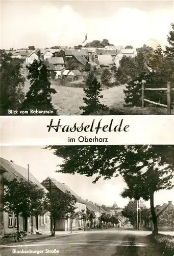 AK / Ansichtskarte Hasselfelde Blankenburger Strasse  Kat. Hasselfelde