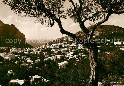 AK / Ansichtskarte Capri Panorama Kat. Golfo di Napoli