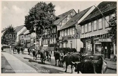 AK / Ansichtskarte Benneckenstein Harz Viehtrieb