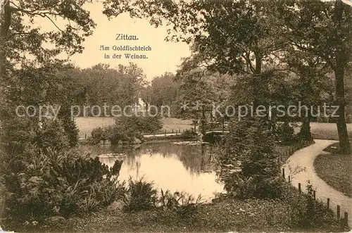 AK / Ansichtskarte Zittau Goldfischteich Weinau  Kat. Zittau