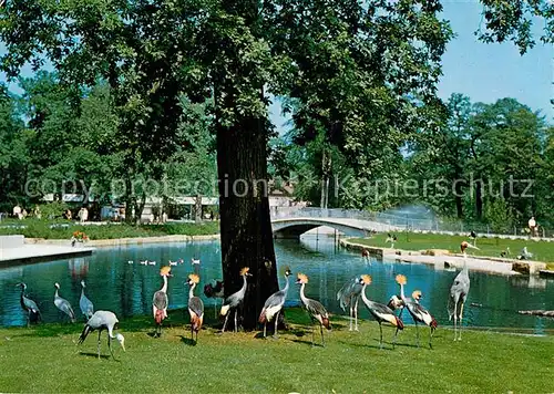 AK / Ansichtskarte Hannover Zoologischer Garten Stelzvogelwiese Kat. Hannover