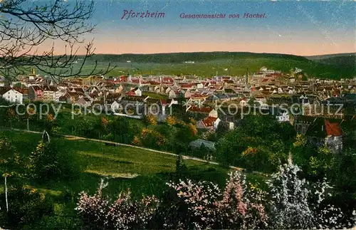 AK / Ansichtskarte Pforzheim Gesamtansicht vom Hachel Baumbluete Kat. Pforzheim