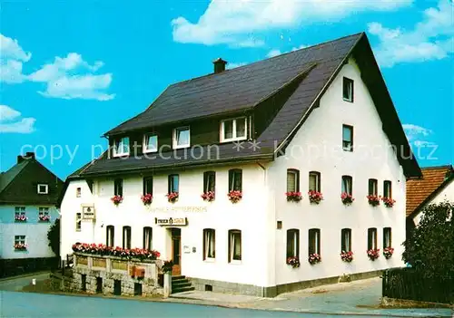 AK / Ansichtskarte Schweinsbuehl Gasthaus Pension Doebelt Kat. Diemelsee