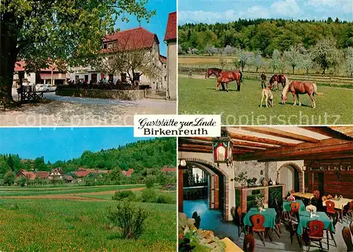 AK / Ansichtskarte Birkenreuth Gaststaette zur Linde Pferdekoppel Panorama Kat. Wiesenttal