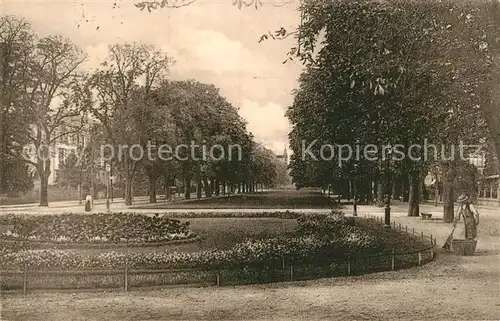 AK / Ansichtskarte Bonn Rhein Poppelsdorfer Allee Park Kat. Bonn