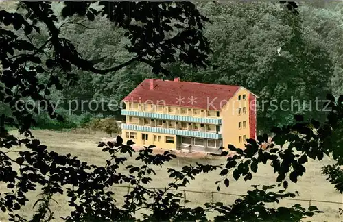 AK / Ansichtskarte Bad Driburg Pension Am Kurpark Kat. Bad Driburg