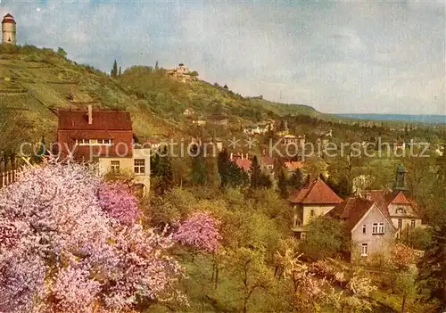 Radebeul Friedensburg und Wasserturm Bluehende Loessnitz Kat. Radebeul