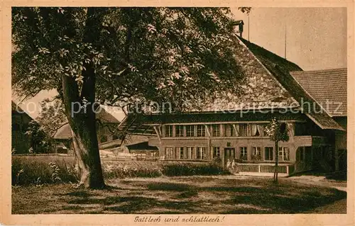 AK / Ansichtskarte Bern BE Bauernhaus Bund junger Stauffacherinnen Kat. Bern