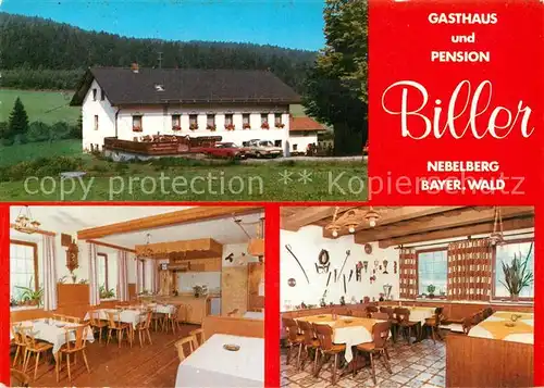 AK / Ansichtskarte Nebelberg Langdorf Gasthaus Pension Biller Kat. Langdorf