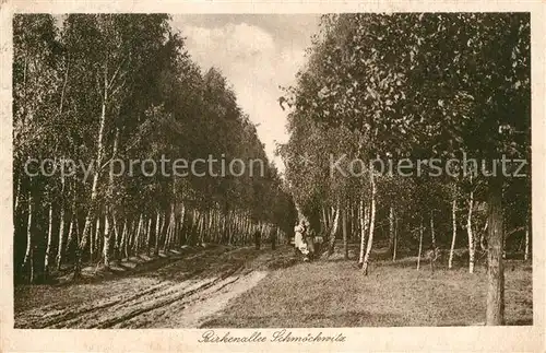 AK / Ansichtskarte Schmoeckwitz Birkenallee Kat. Berlin