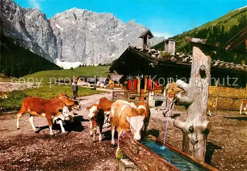 AK / Ansichtskarte Kuehe Engalm Ahornboden Grubenkarspitze Kat. Tiere