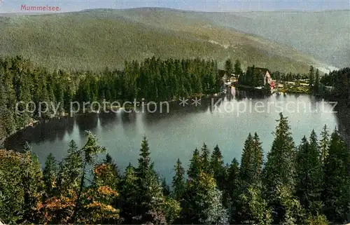 AK / Ansichtskarte Mummelsee Panorama  Kat. Seebach