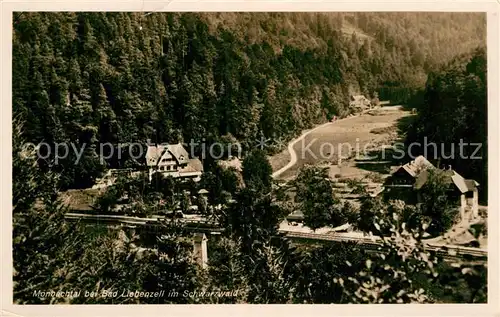 AK / Ansichtskarte Bad Liebenzell Panorama Mombachtal Kat. Bad Liebenzell